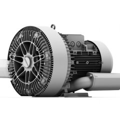 Воздуходувка Elektror 2SD 820 - 50/11,0