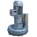 Воздуходувка FPZ-K11-TS-GVR-18-50-2-Flex-coupling-Vertical-IE2