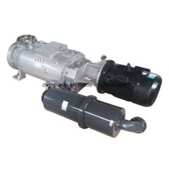 Вакуумный насос DVE SVP-200DV